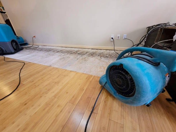 Professional Water Removal technician working in Gates, OR